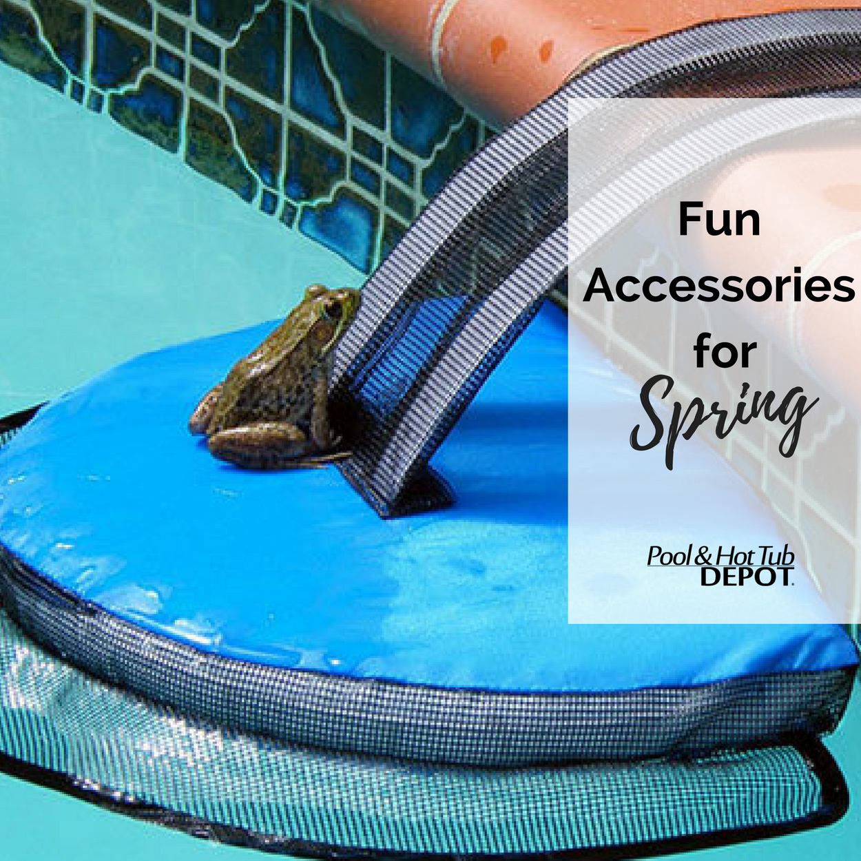 5 Fun Accessories for Spring displayed in a pool setting with a frog on a floating cover.