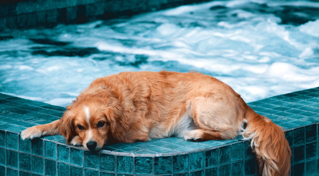 Most Common Hot Tub Questions Answered