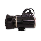 Strong Spas Pumps