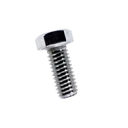 Pentair Stainless Steel Bolt