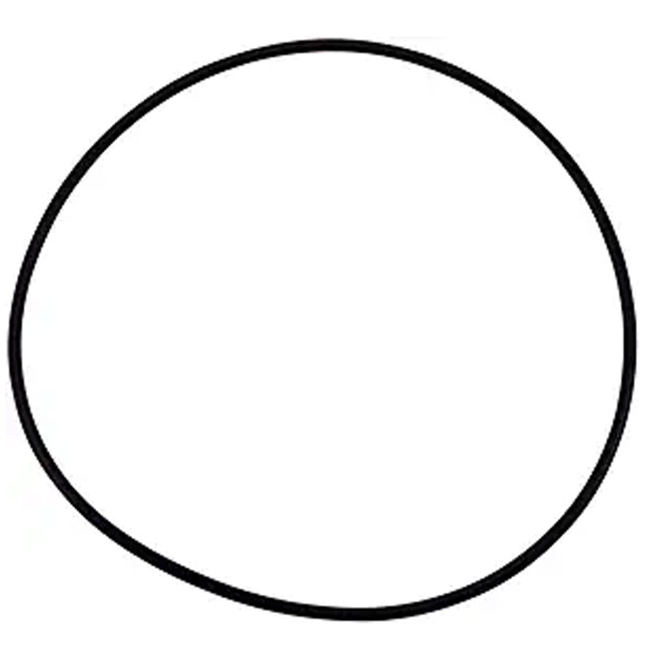 Pentair O-Ring Pump Lid for WhisperFlo pumps