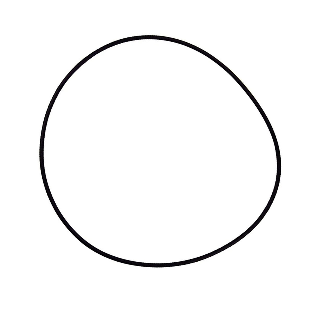 O-Ring replacement part for WhisperFlo WFE.