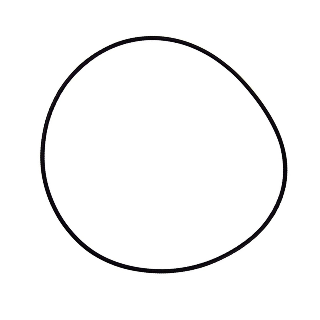 O-Ring replacement part for WhisperFlo WFE.