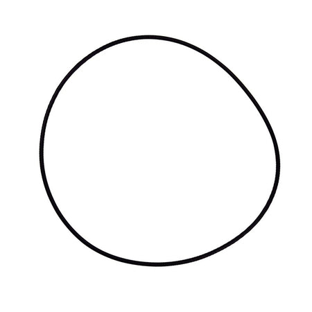 O-Ring replacement part for WhisperFlo WFE.