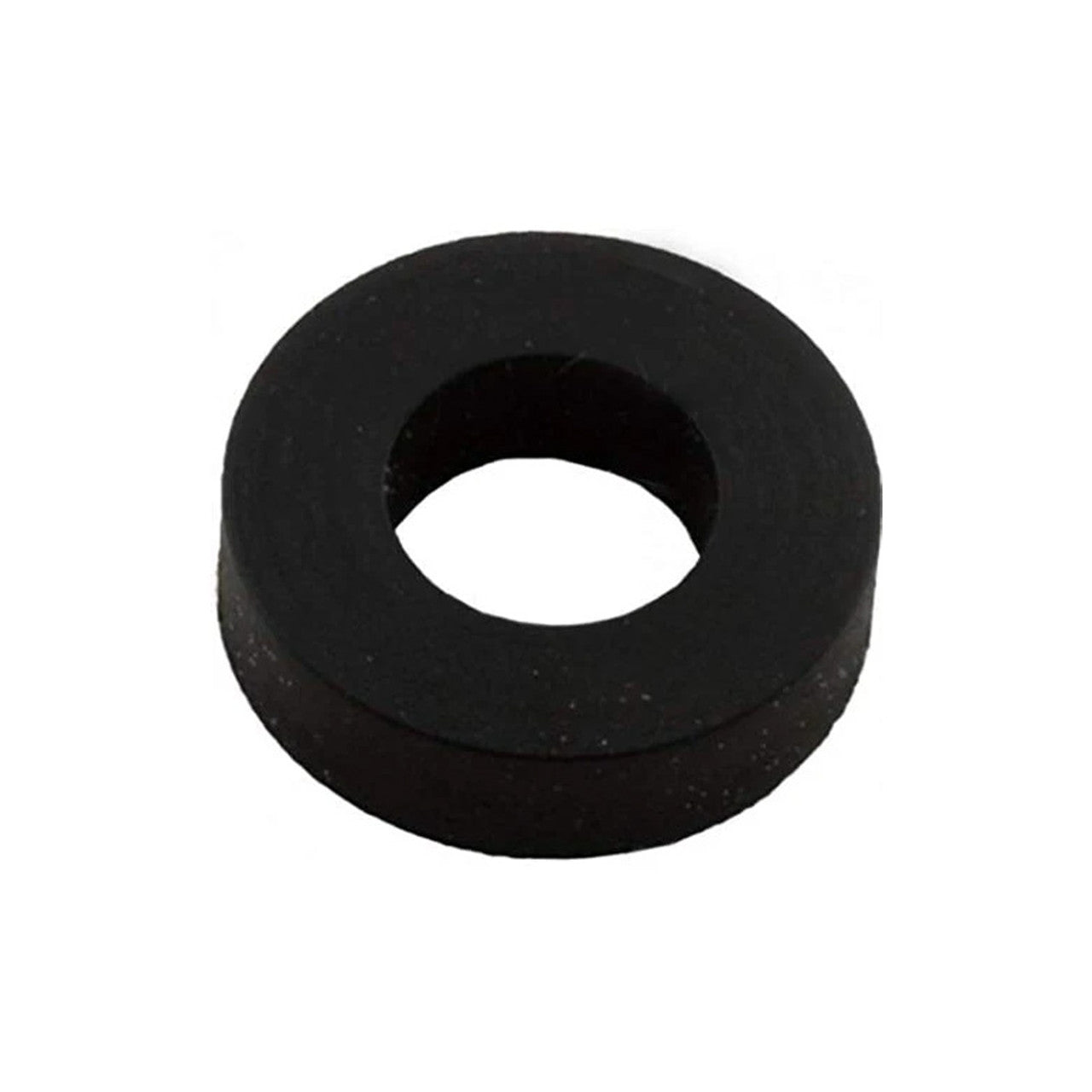 Pentair Pump Impeller Washer - 075713
