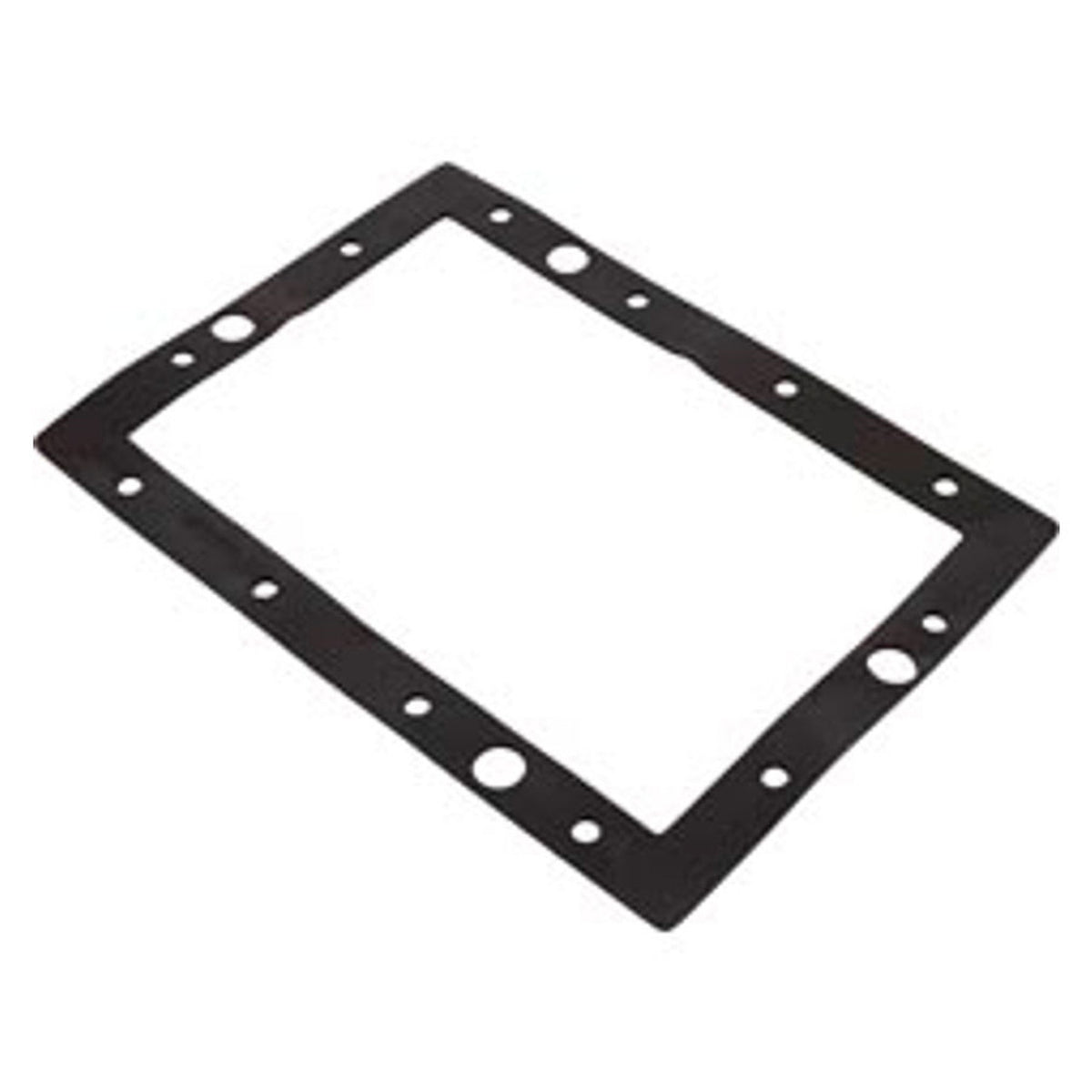 Carvin Skimmer Faceplate Gasket