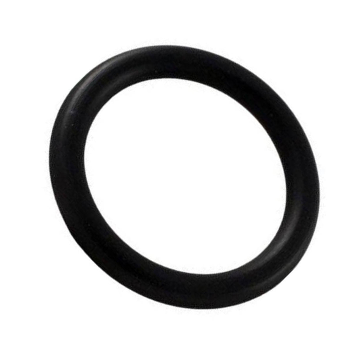 Pentair Multiport Valve O-Ring