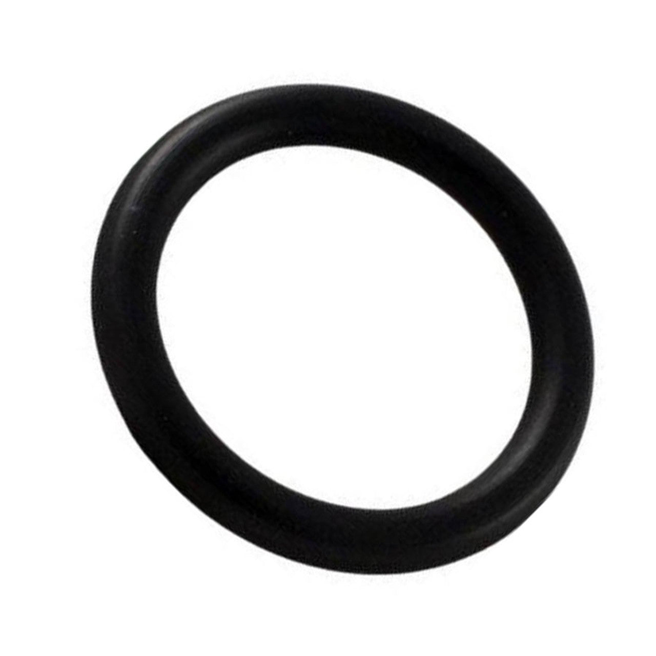 Pentair Multiport Valve O-Ring