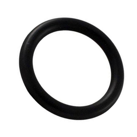 Pentair Multiport Valve O-Ring