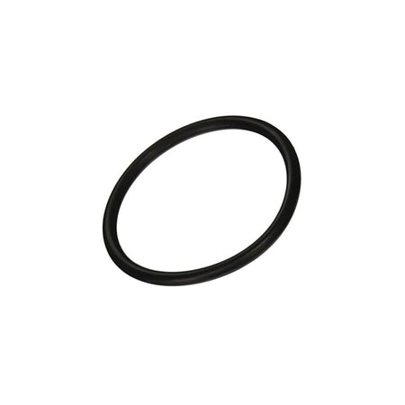 Pentair Bulkhead O-Ring