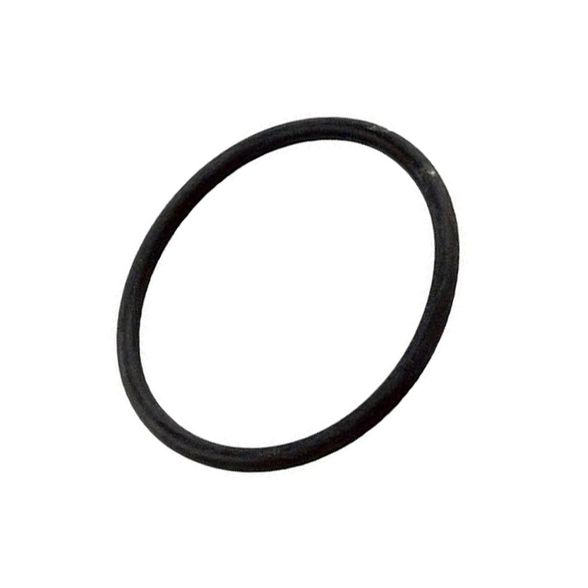 Pentair Standpipe O-Ring