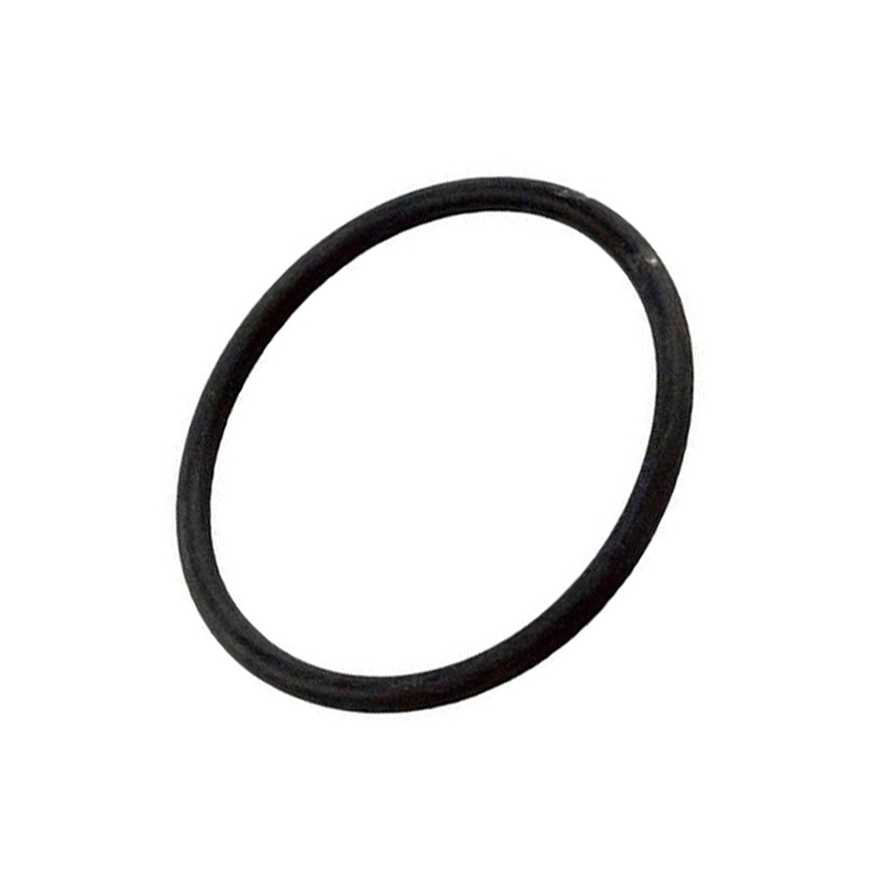 Pentair Standpipe O-Ring