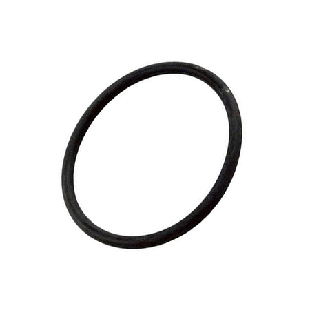 Pentair Standpipe O-Ring