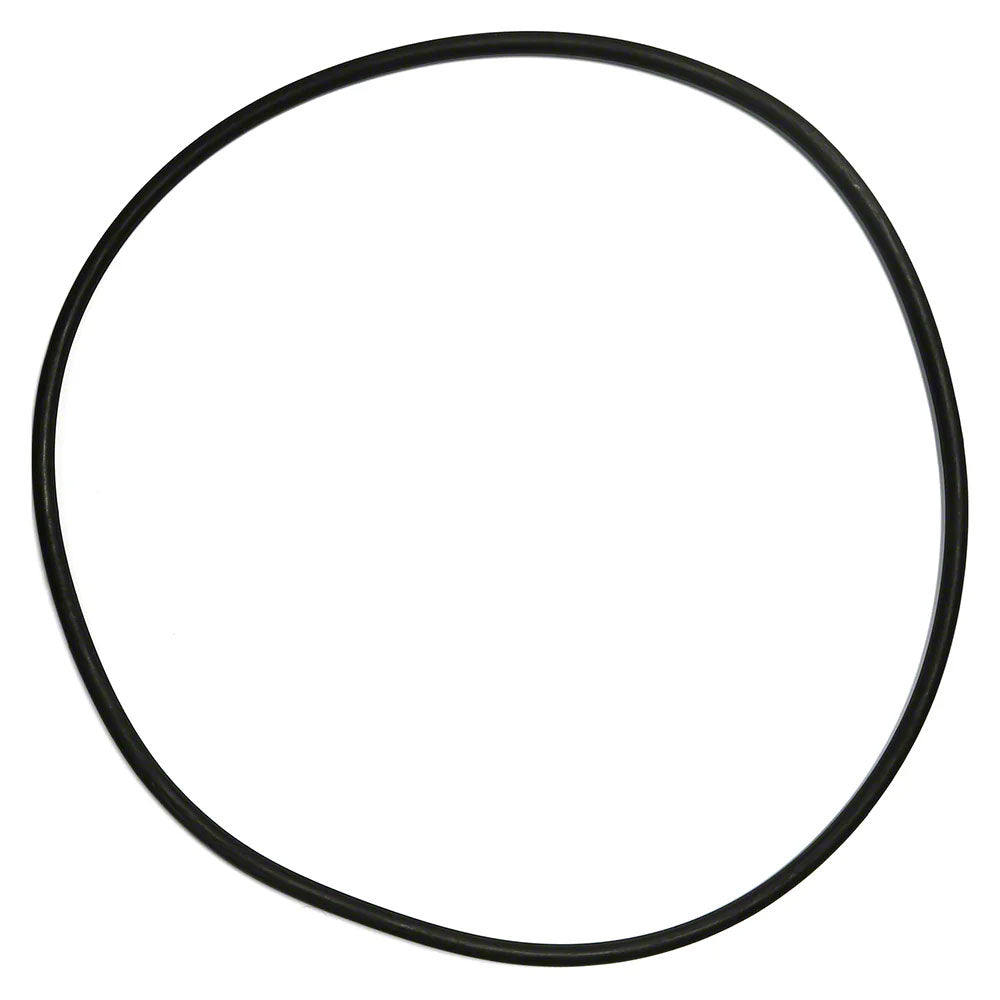 Large Hayward o-ring or gasket for CC150CAN filters