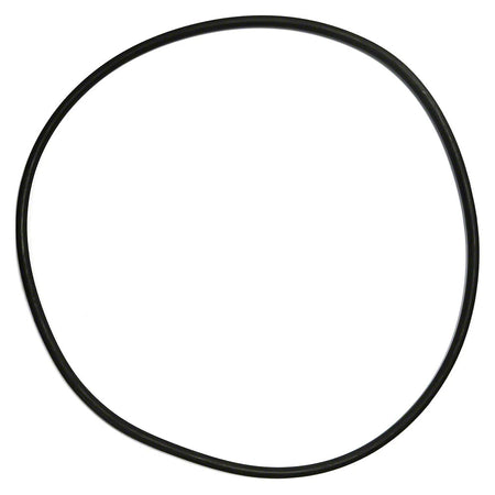 Large Hayward o-ring or gasket for CC150CAN filters