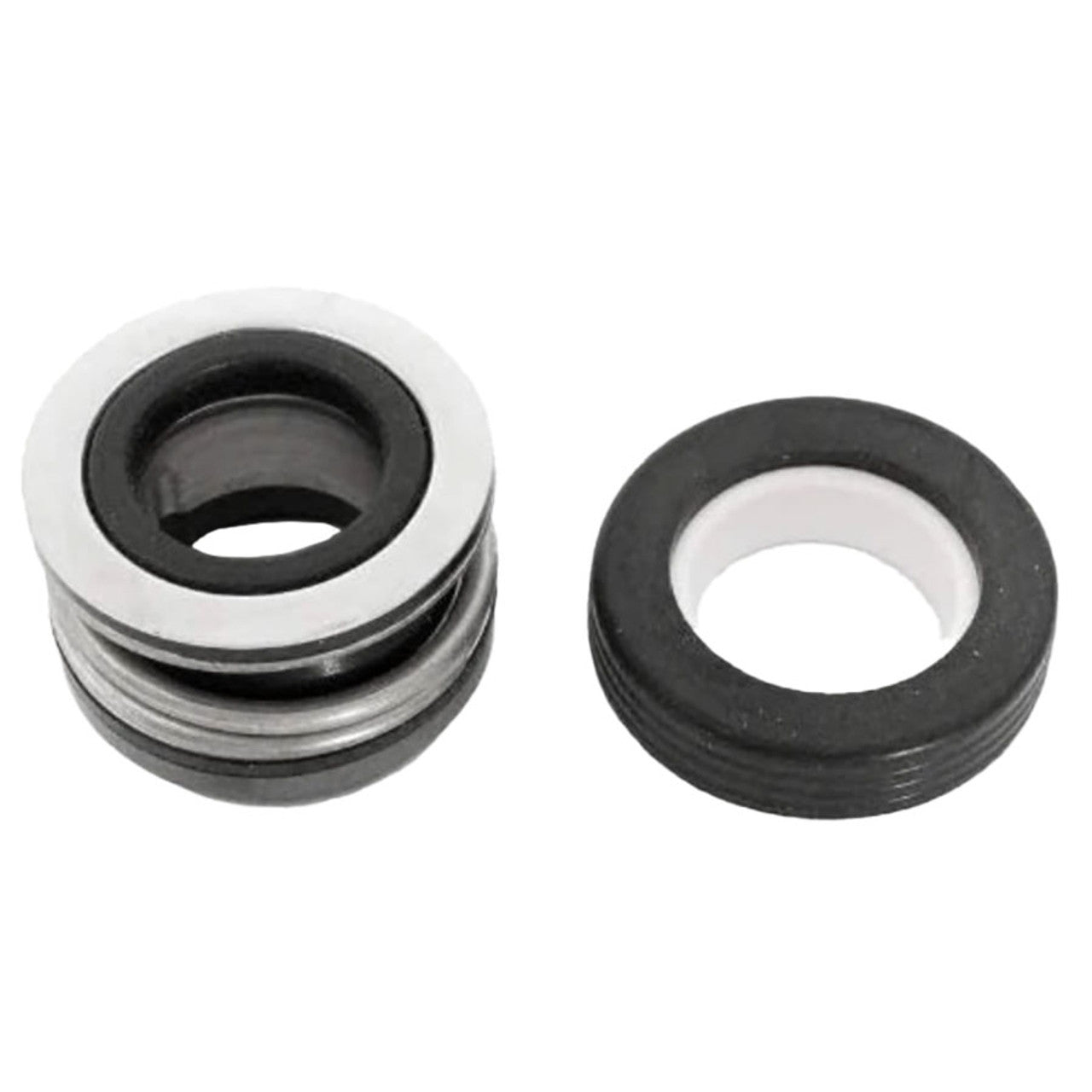 Pentair Shaft Seal Kit