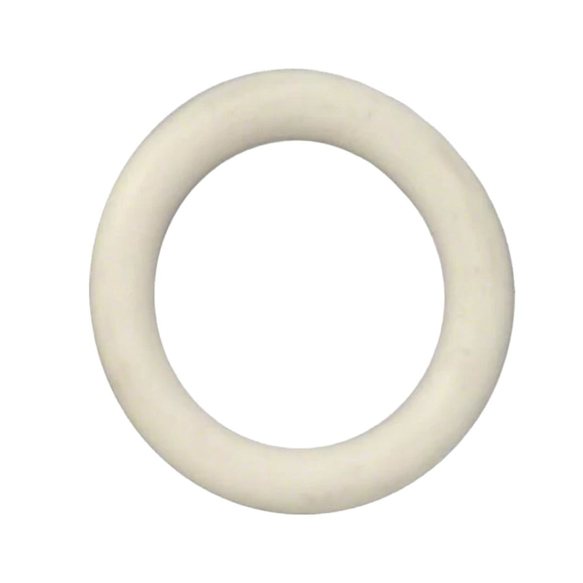 Pentair Drain Plug O-Ring 192115Z