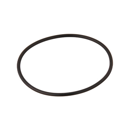 Pentair O-Ring Bulkhead