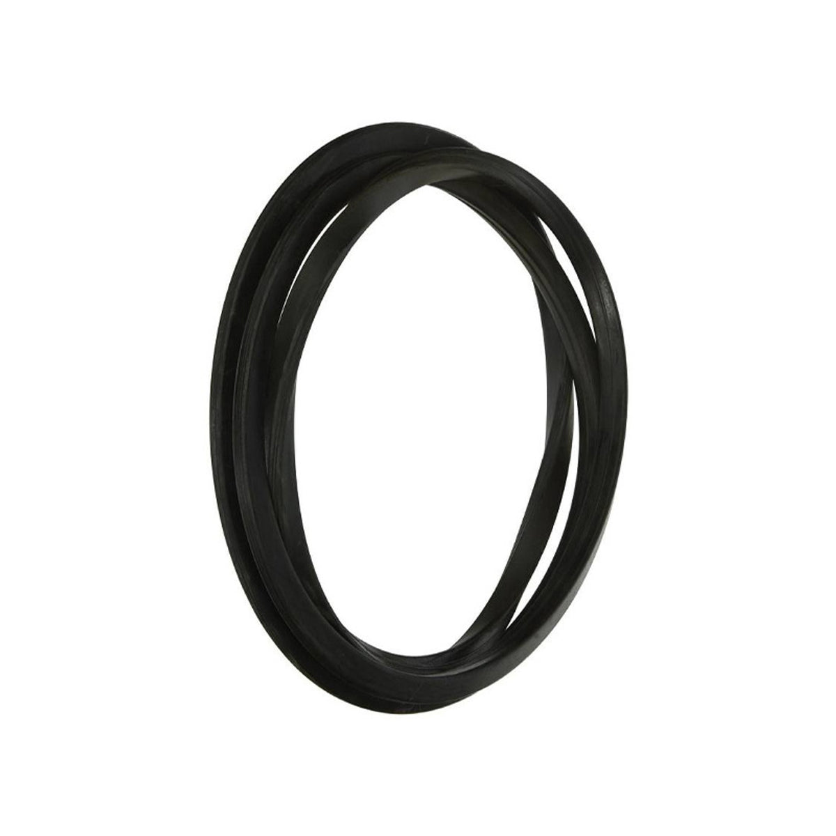 Pentair O-Ring Tank Replacement - 195008