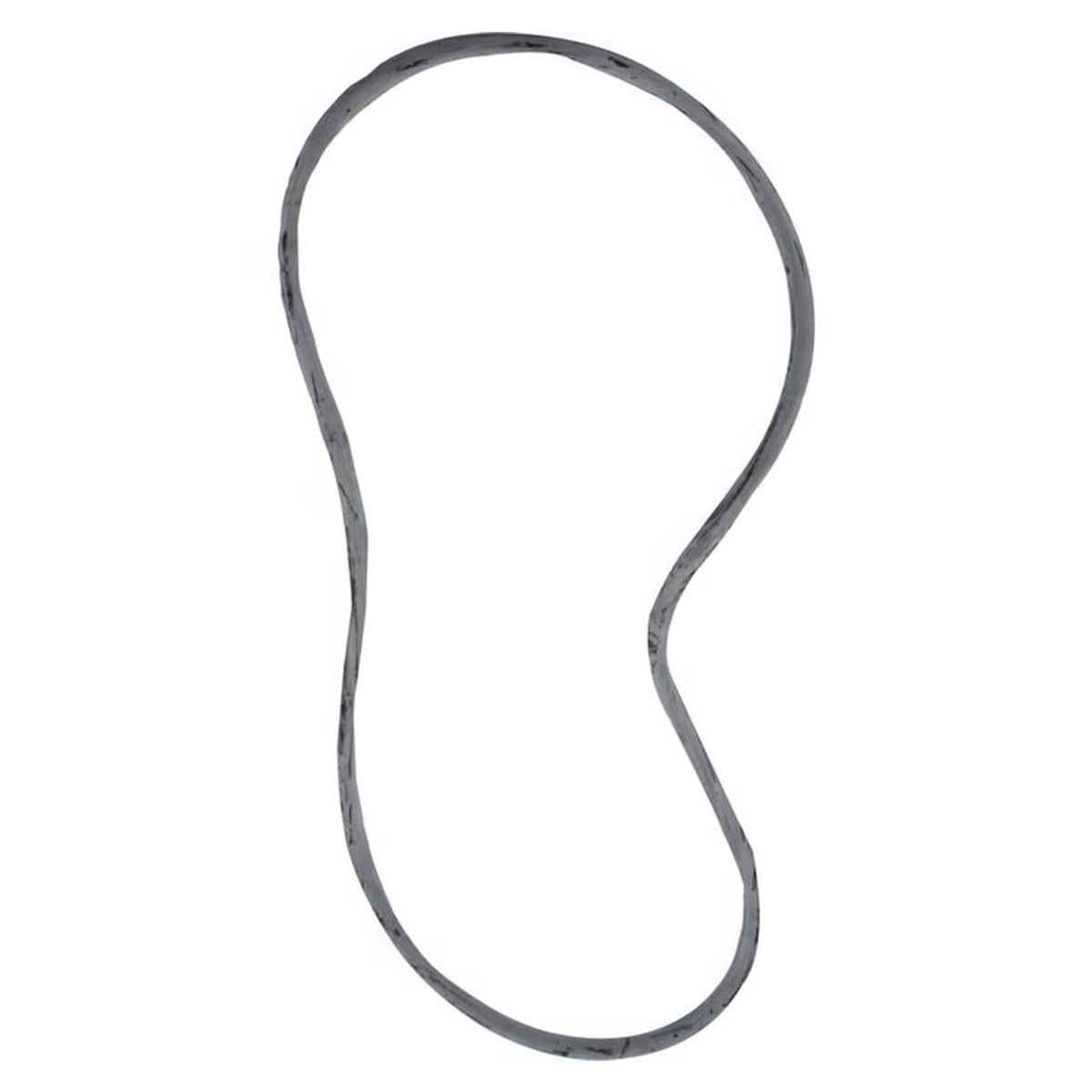 Pentair 25230-0010S O-Ring