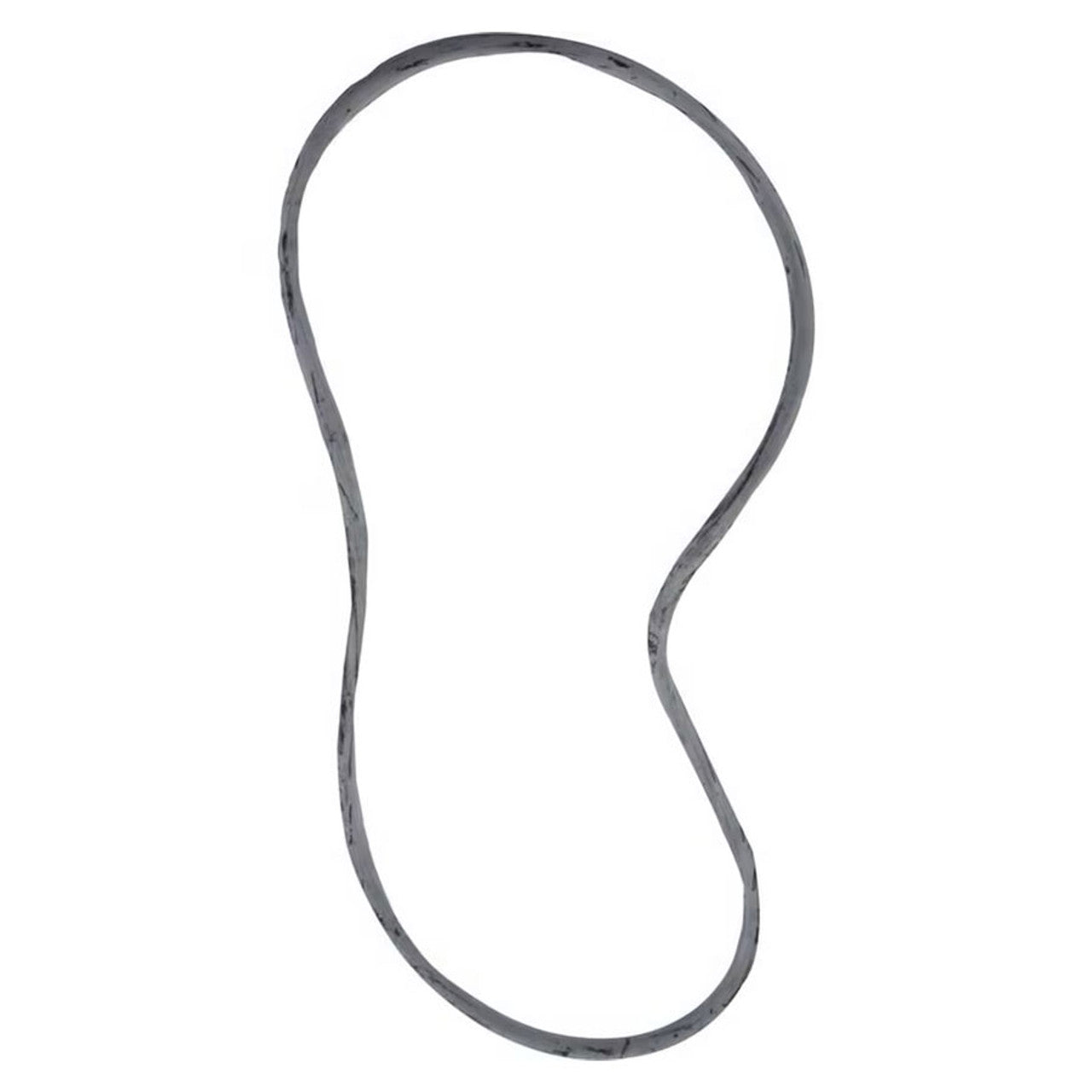 Pentair 25230-0010S O-Ring