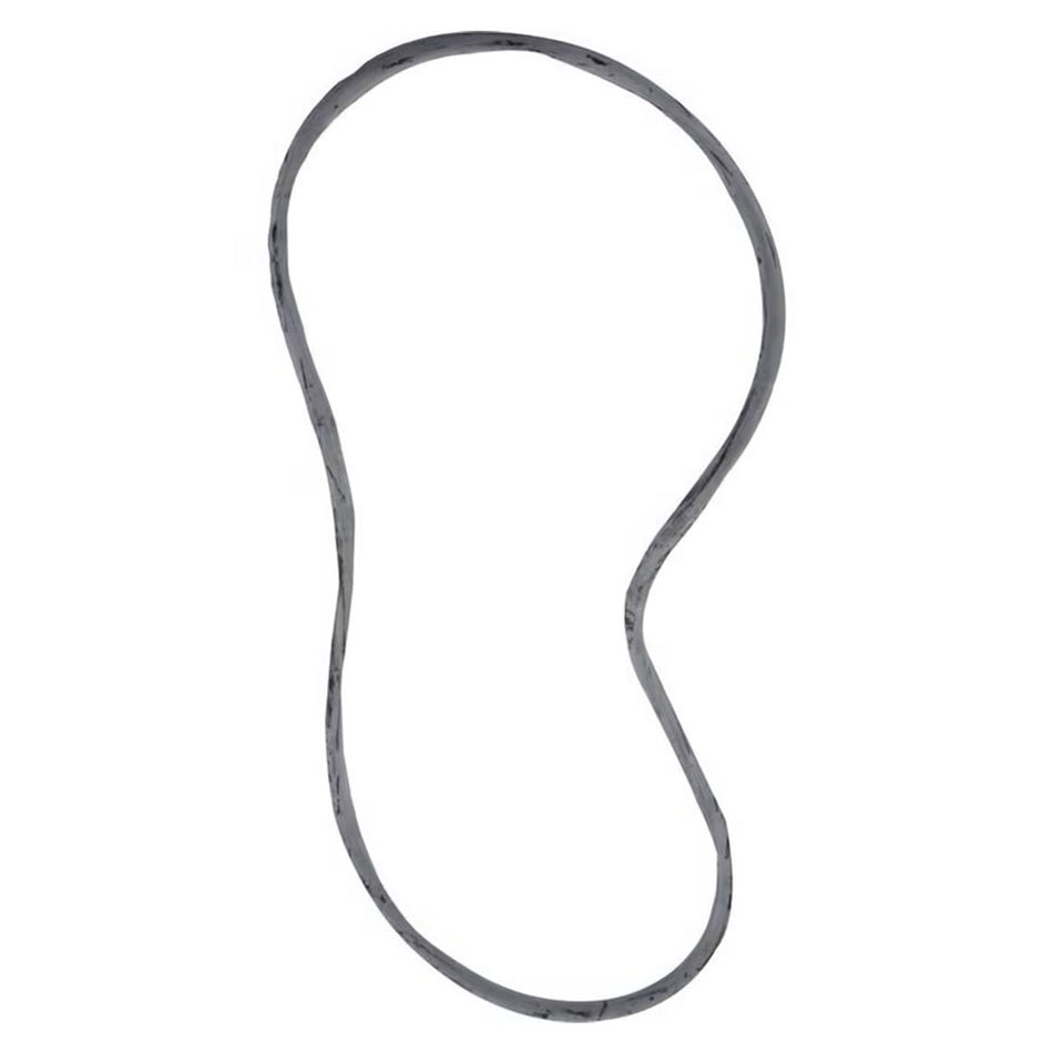 Pentair 25230-0010S O-Ring