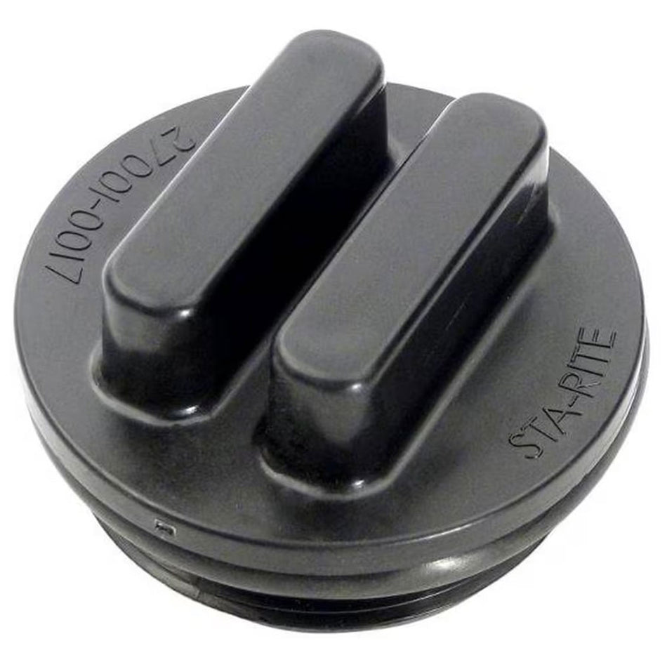 Pentair Drain Plug with O-Ring