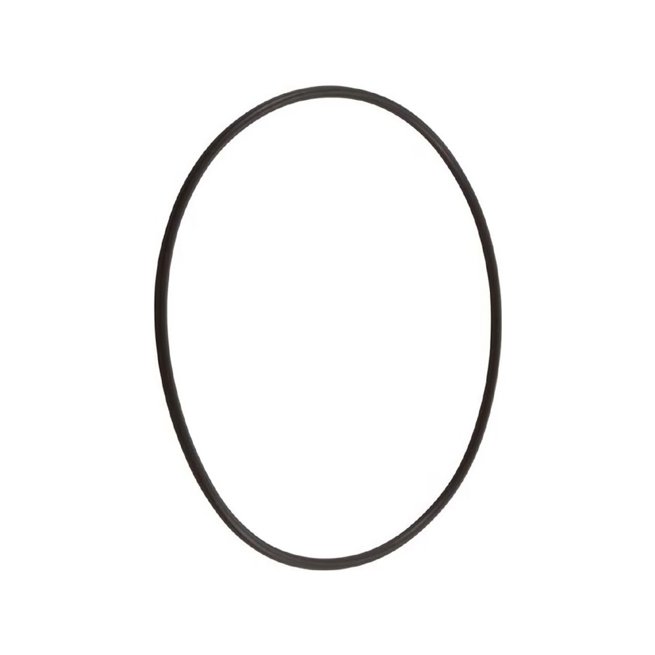 Pentair O-Ring Top Valve - 271103