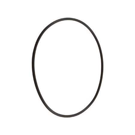 Pentair O-Ring Top Valve - 271103