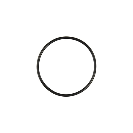 Pentair O-Ring Valve Body 272541