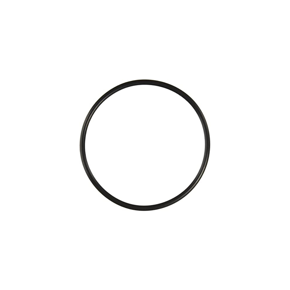 Pentair O-Ring Valve Body 272541