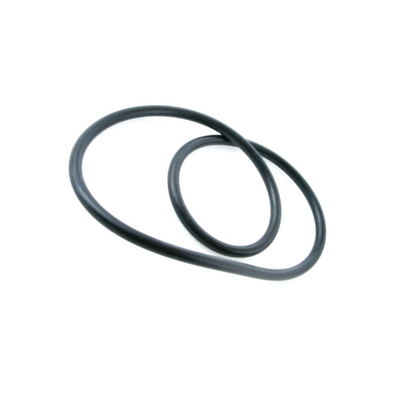 Pentair Body Valve Filter O-Ring