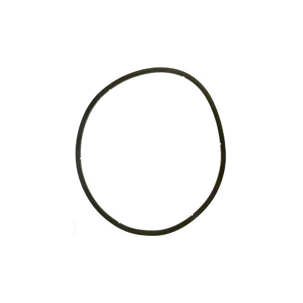Pentair EQ Series Strainer Lid Gasket