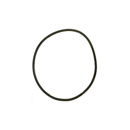 Pentair EQ Series Strainer Lid Gasket