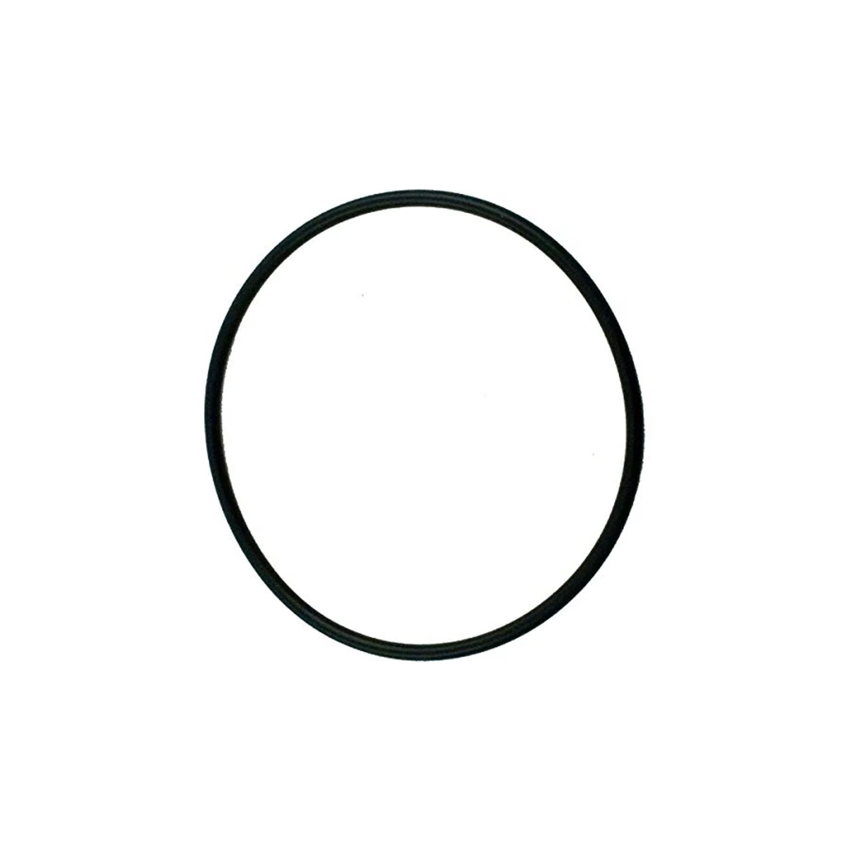 Pentair Lid O-Ring Replacement