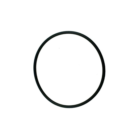 Pentair Lid O-Ring Replacement