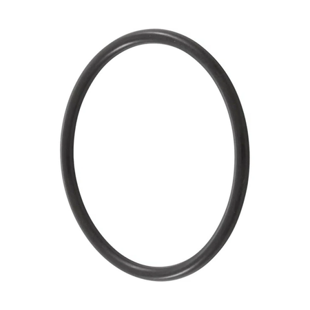 Pentair Filter and Pool Pump O-Ring
