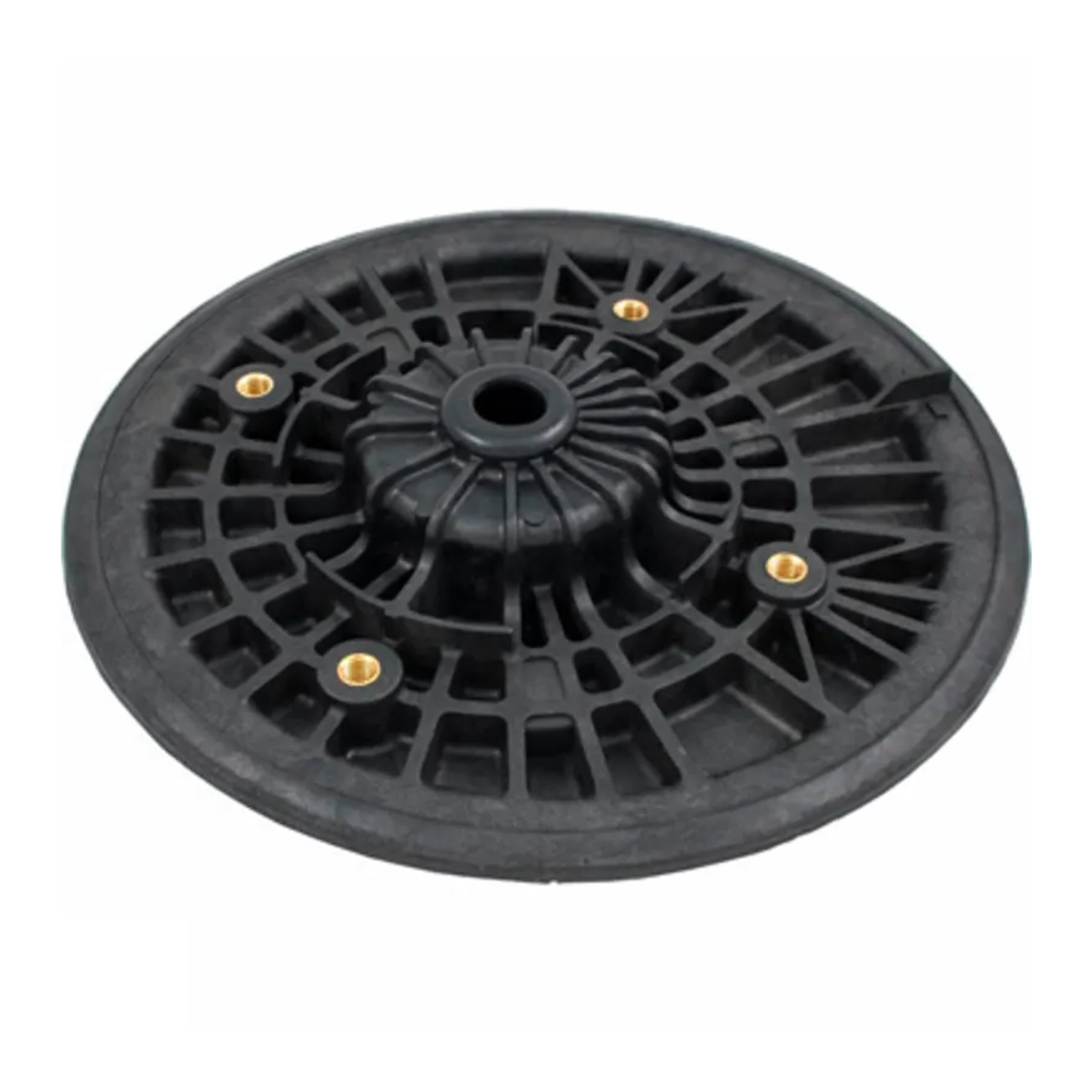 Pentair Challenger Black Seal Plate