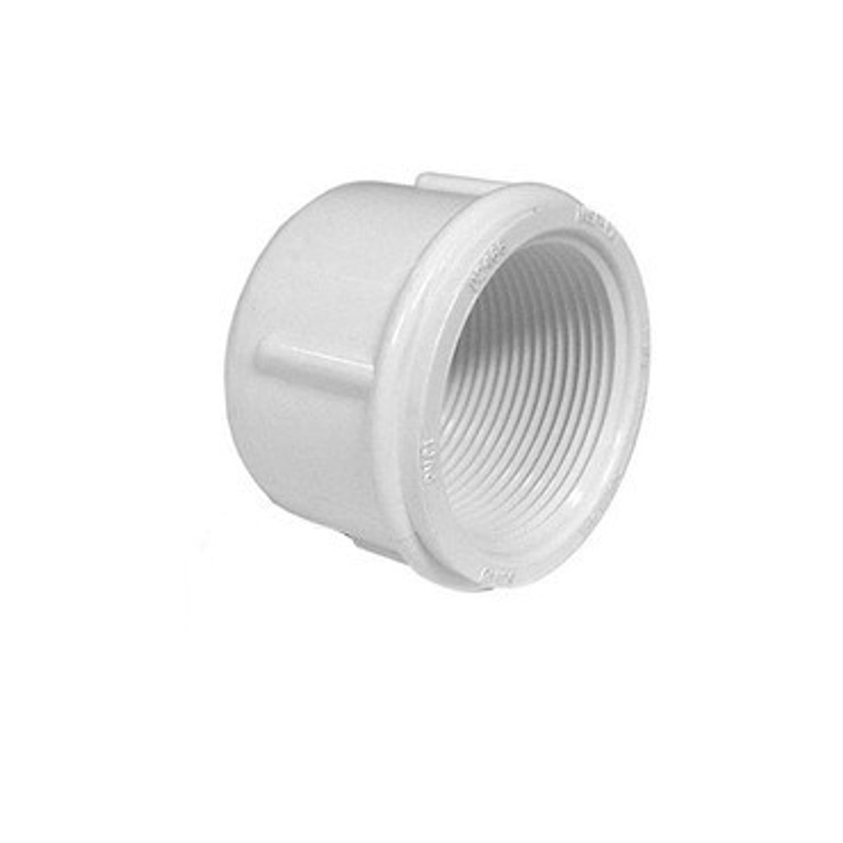 White PVC Pipe Cap - 1/2" Female Pipe Thread