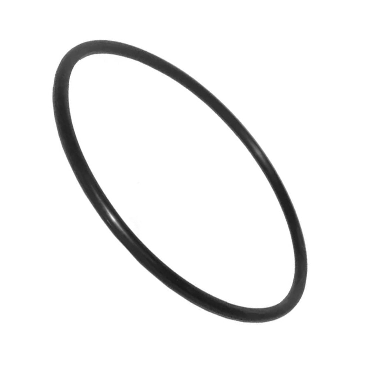 Carvin Strainer Cover O-Ring - 47035241R