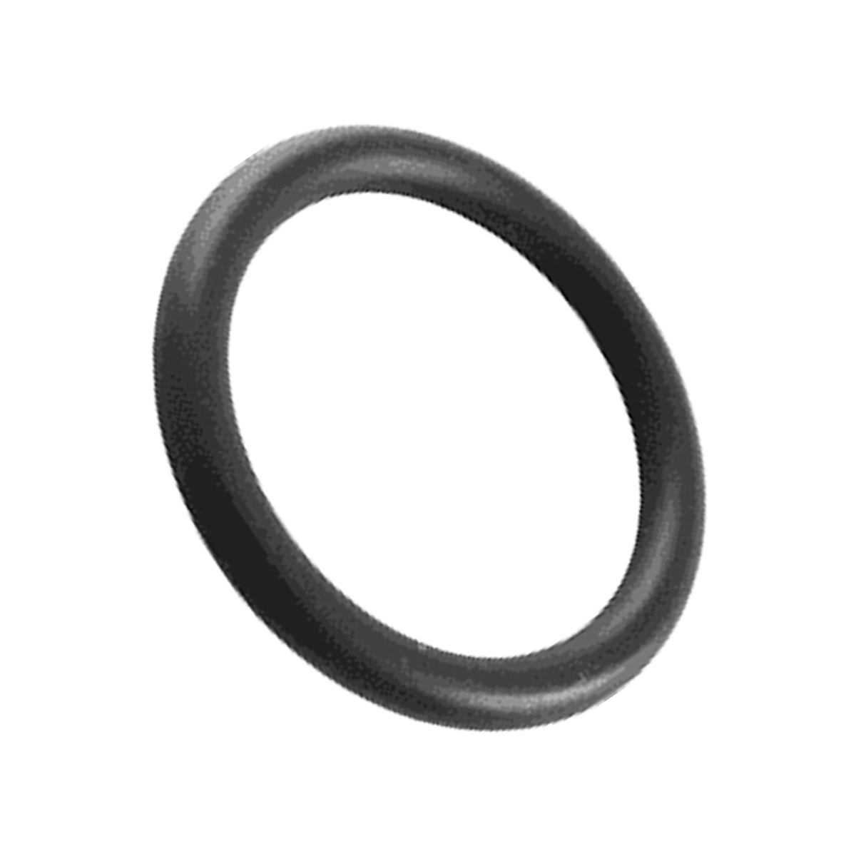 Pentair Drain Cap O-Ring