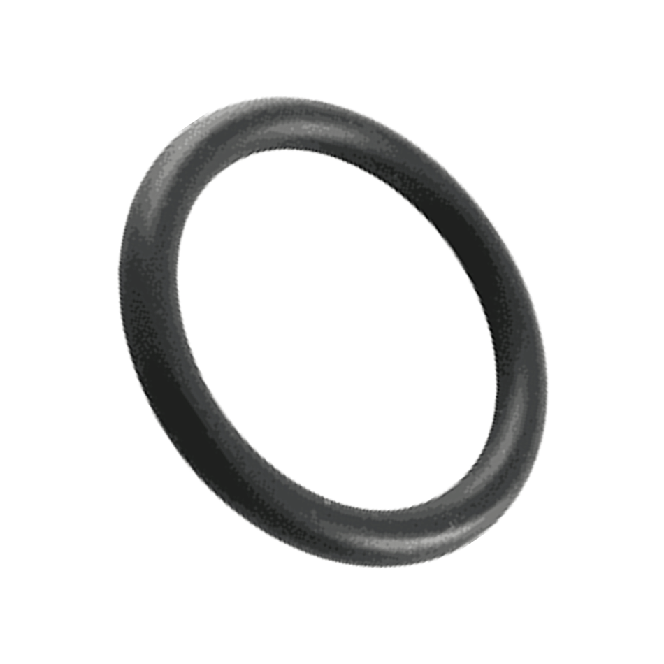 Pentair Drain Cap O-Ring