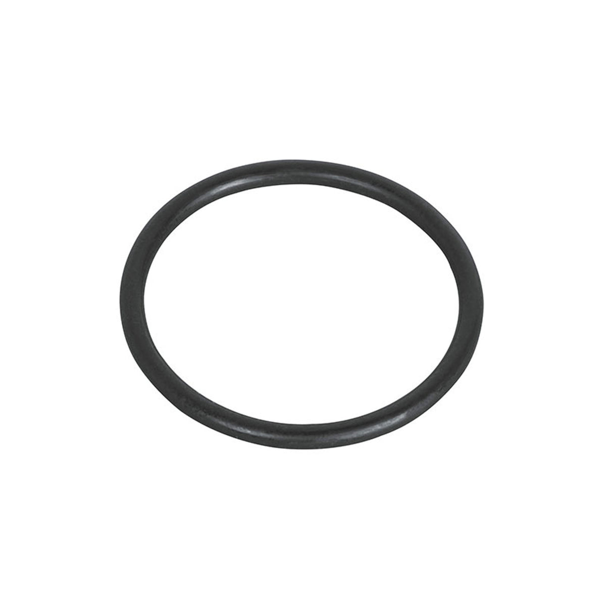 Waterway Executive hot tub pump shaft seal o-ring