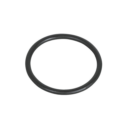 Waterway Executive hot tub pump shaft seal o-ring