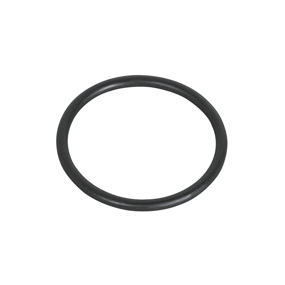 Waterway Executive hot tub pump shaft seal o-ring