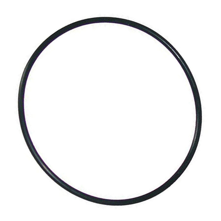 Waterway Sand Filter O-Ring - 805-0254