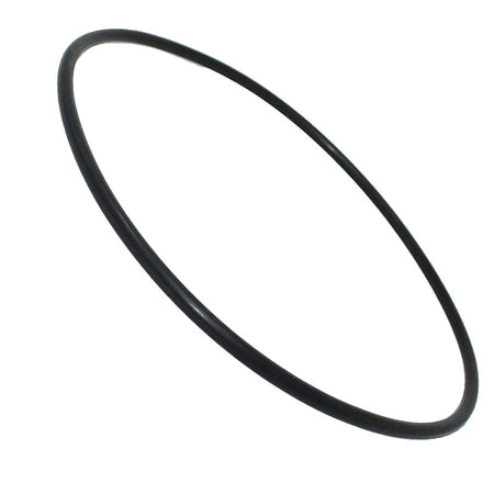 Waterway Hi-Flow Trap Lid O-Ring - 805-0436