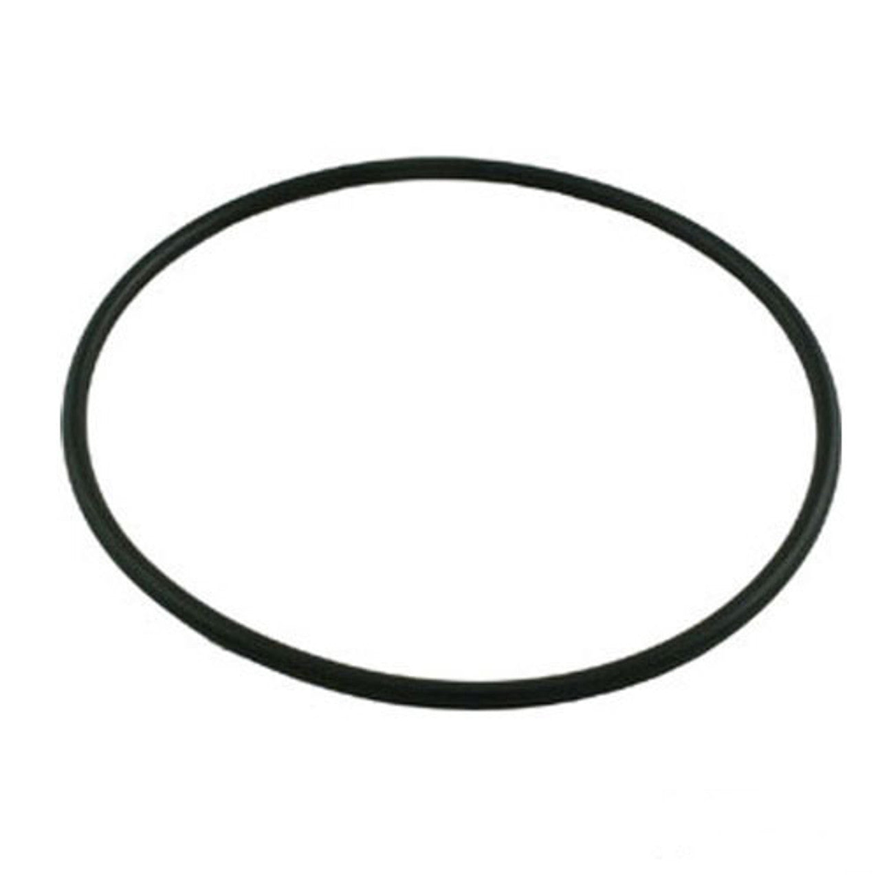 O-Ring for Waterway Pump Faceplate (Fits 48F & 56F)