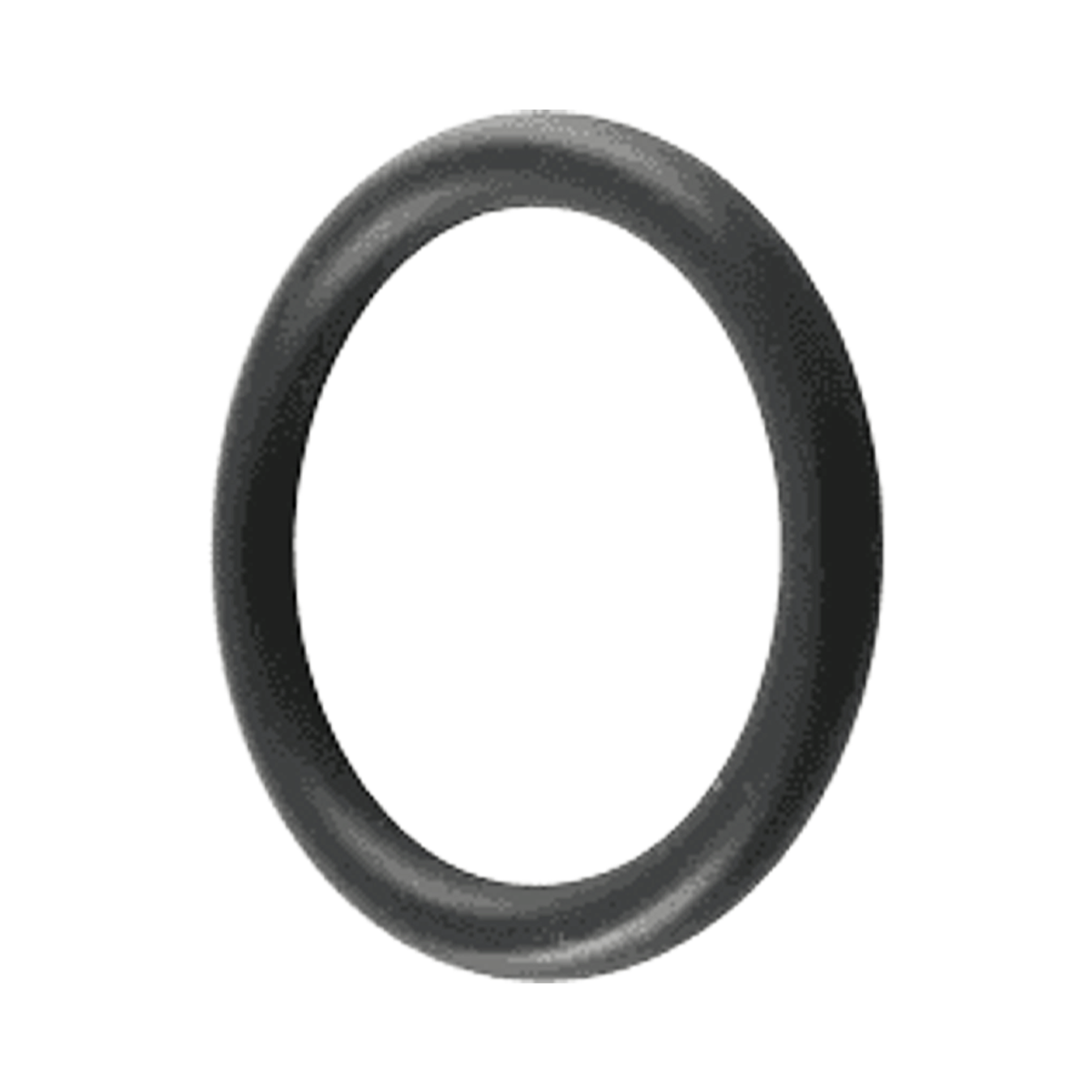 Pentair Bulkhead O-Ring