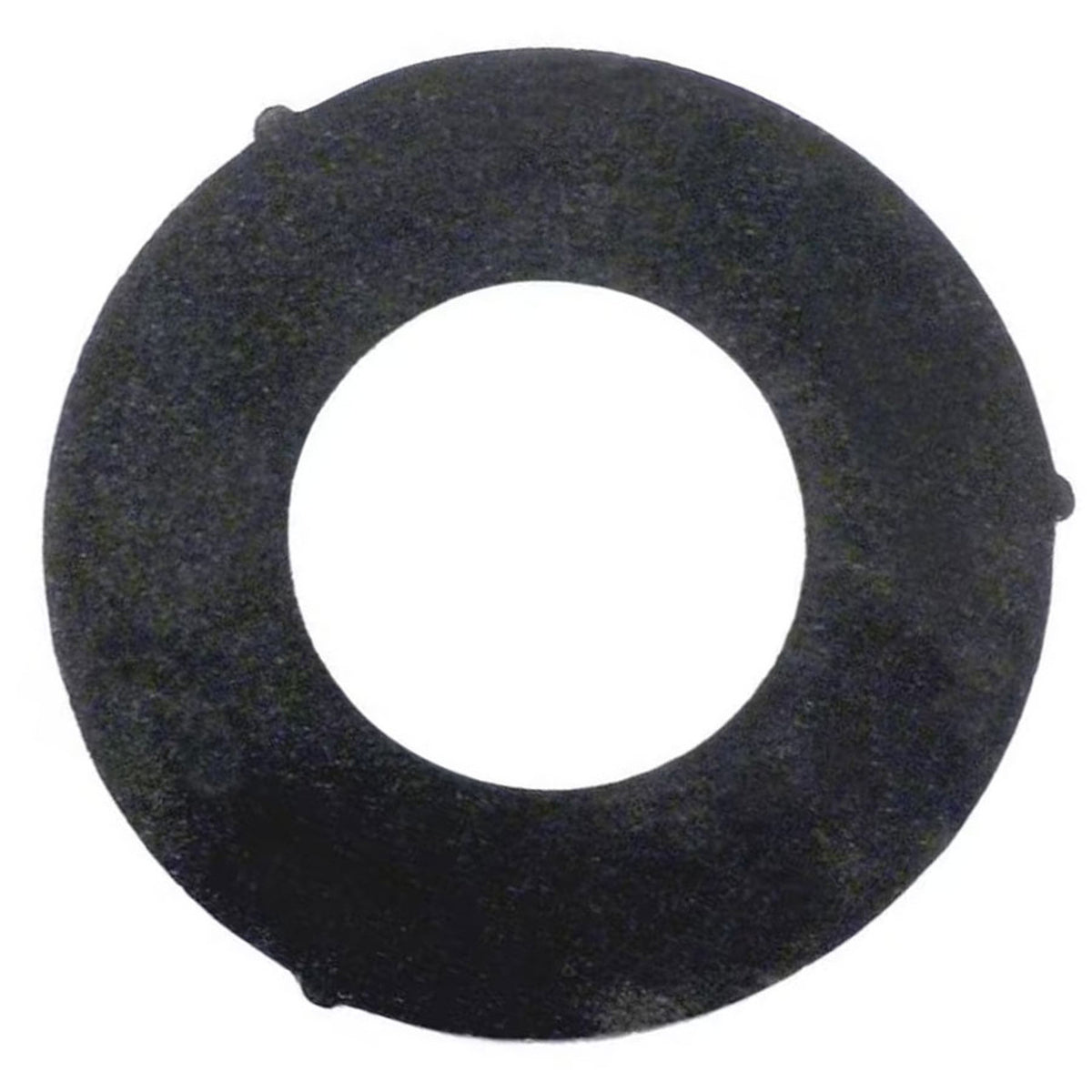 Pentair Drain Plug Gasket